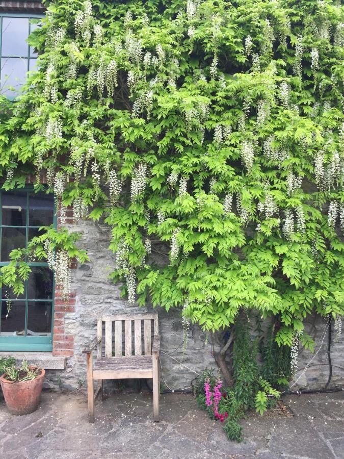 The Stable Yard House At Burtown House & Gardens Villa Athy Eksteriør bilde