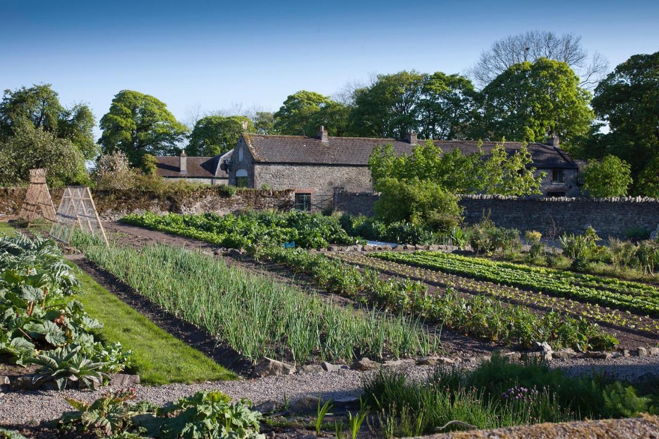 The Stable Yard House At Burtown House & Gardens Villa Athy Eksteriør bilde
